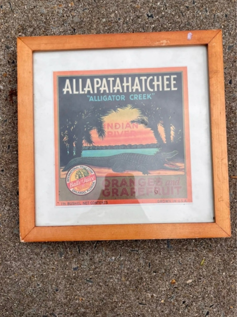 Vintage Allapattahatchee 'Alligator Creek' Orange Framed Art Print